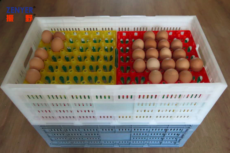 plastic egg crates (704)